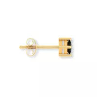 Gold Earring Men studs