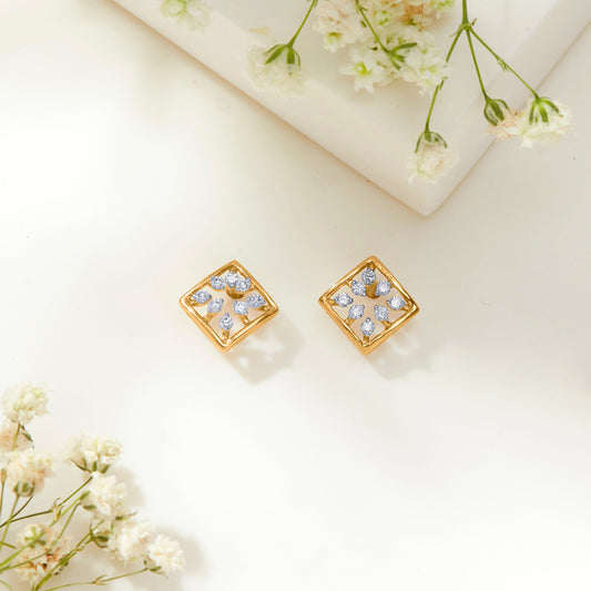 Boxed Beauty Gold Stud Earring For Woman