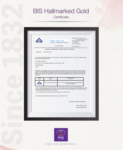 Lakshmi Haar Yellow Gold Necklace  For Woman