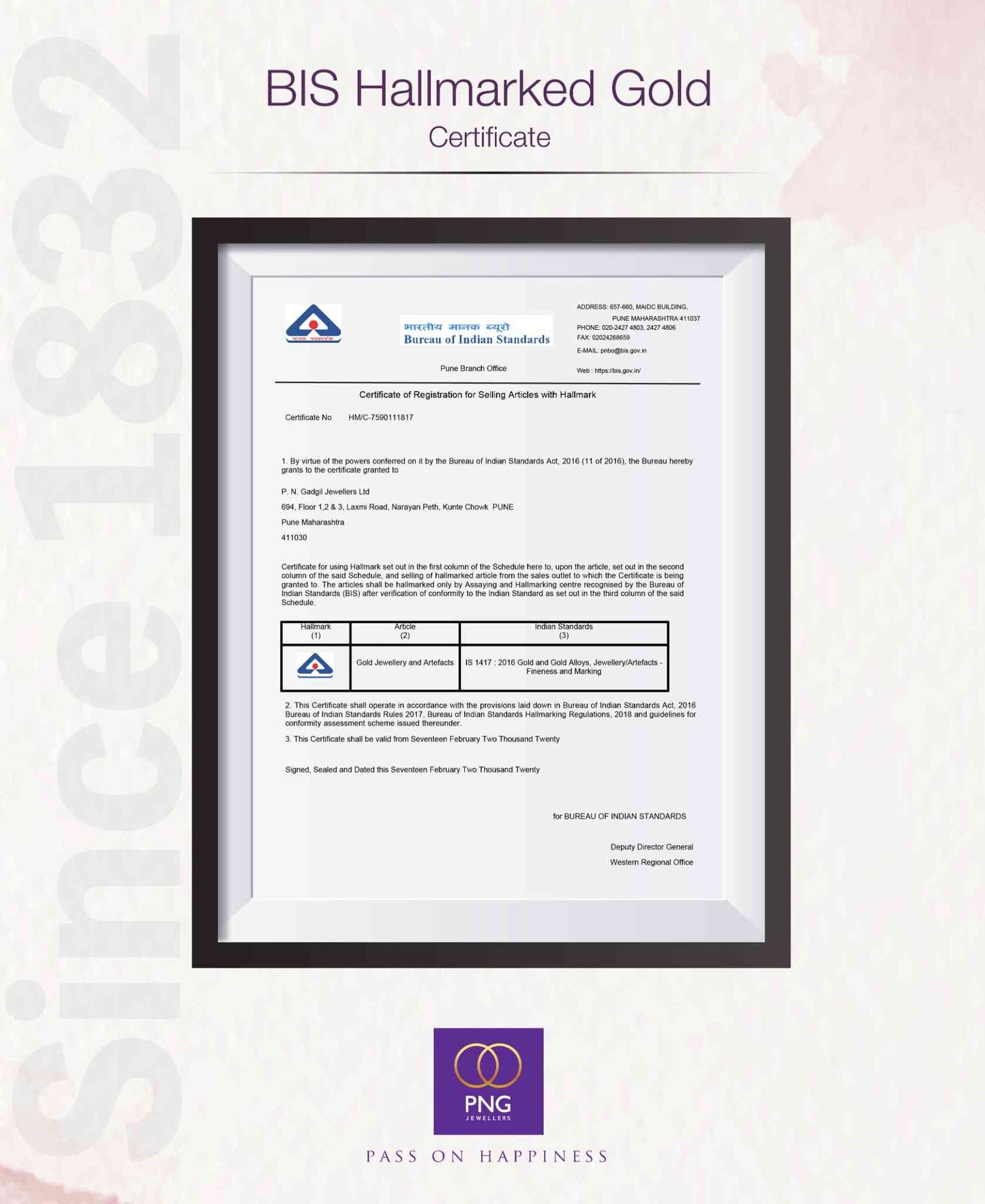 liora loop hoops & huggies gold earrings