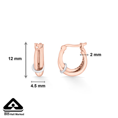 Nexa Beam Gold Hoops & Huggies Earring For Women