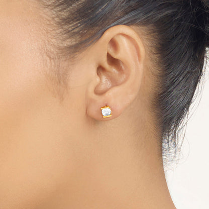 Rose Frame Stud Gold Earring