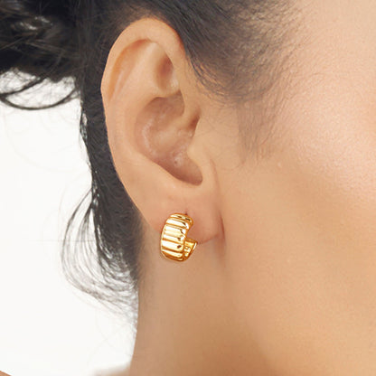Regal Ridge Hoops & Huggies Gold Earring