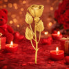 Timeless Rose – A Symbol of Eternal Love (Gold  Plated)
