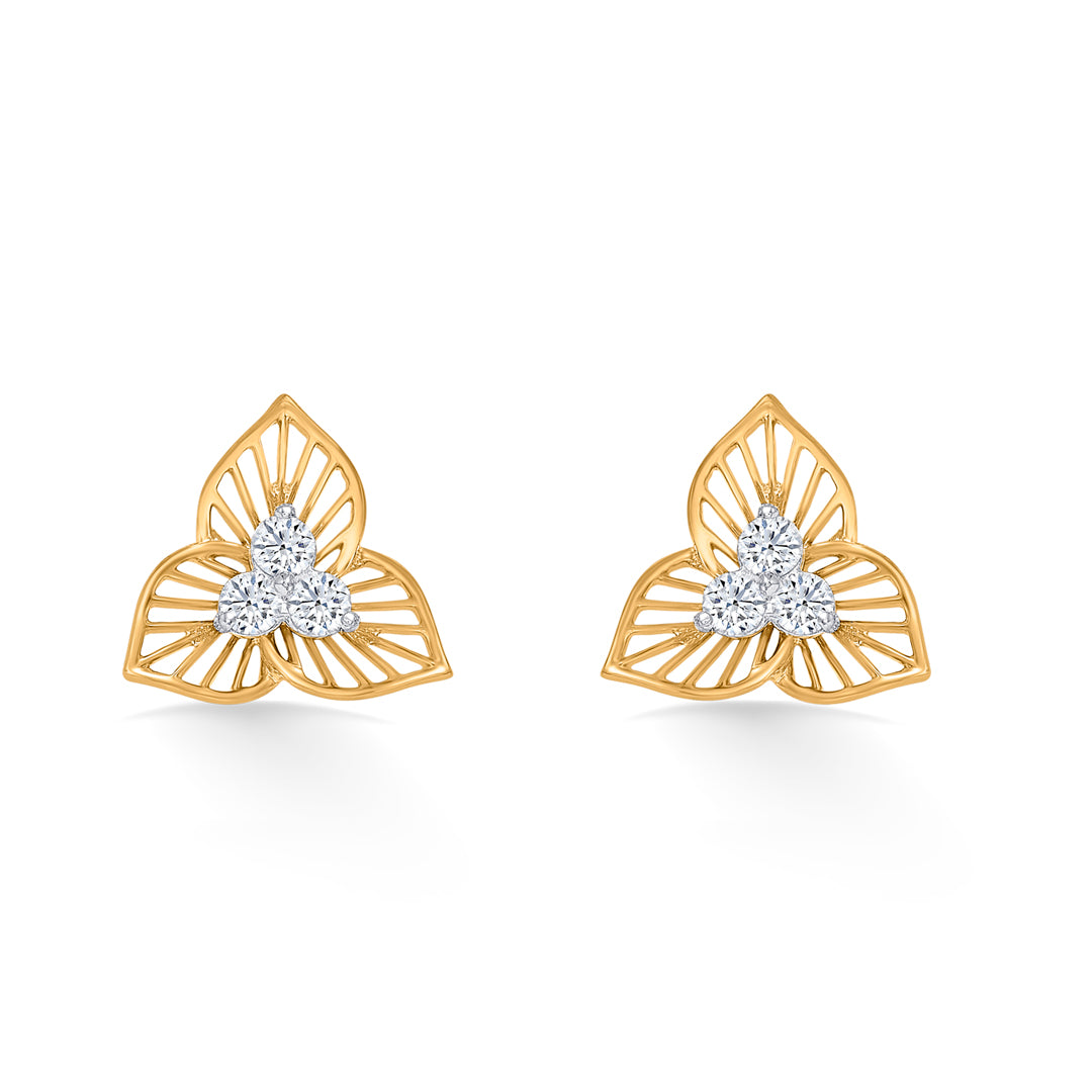 Canopy Glow Gold Stud Earring For Women