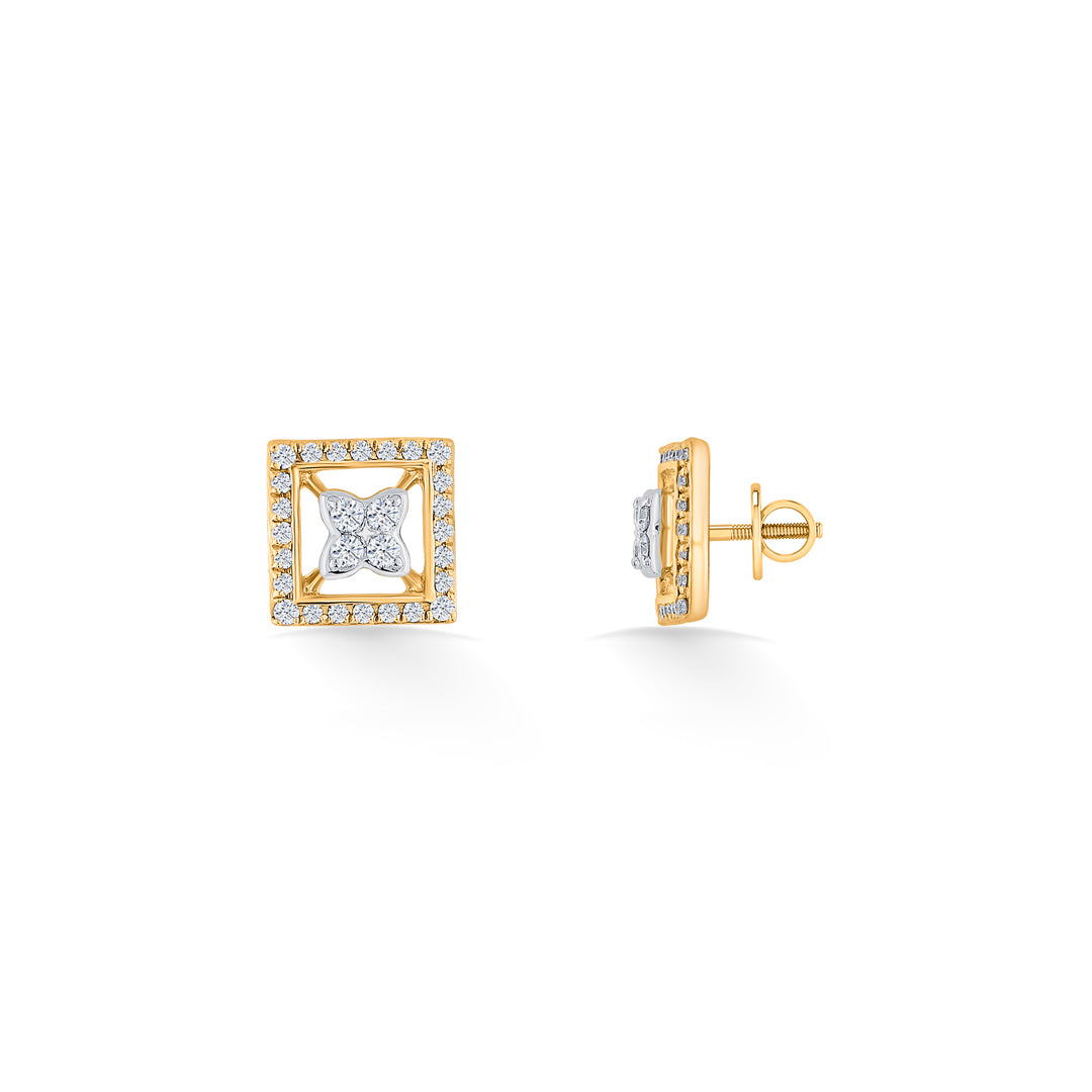 royal enclave yellow gold stud earring for woman