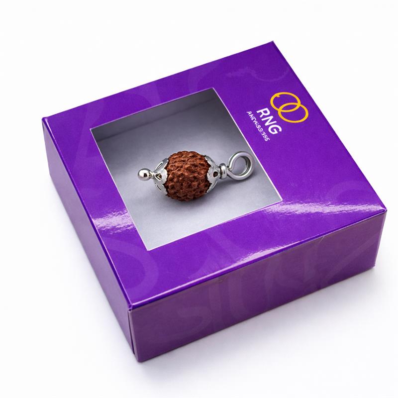 divine rudraksha silver pendant