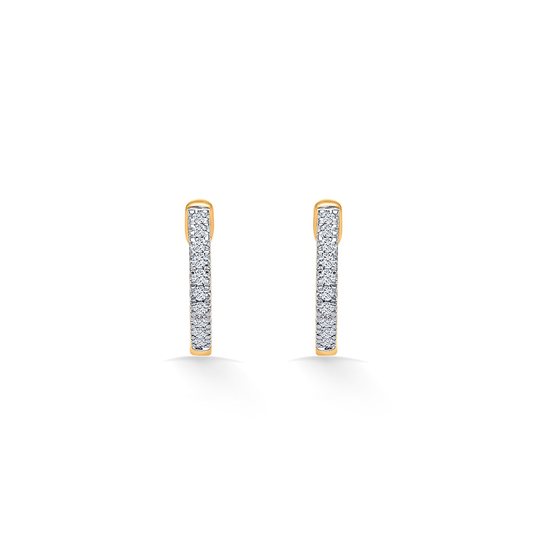 Gold Hoops & Huggies Earring For Women