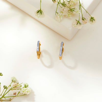 Ring of Radiance Gold Hoops & Huggies Earring For Woman